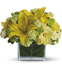Oh Happy Day from Metropolitan Plant & Flower Exchange, local NJ florist